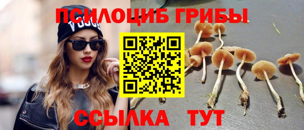 Галлюциногенные грибы прущие грибы Лобня