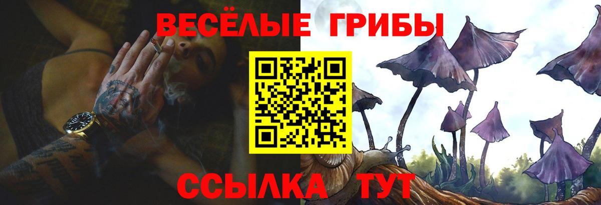 Лобня  наркошоп  Вход с VPN  Галлюциногенные грибы Cubensis 